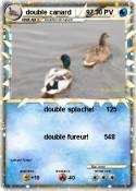 double canard
