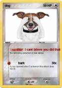 dog
