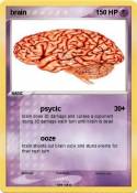 brain
