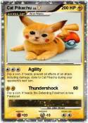Cat Pikachu