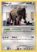 Camel
