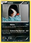 Guinea