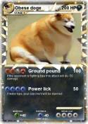 Obese doge