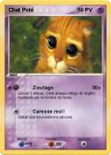 Chat Poté