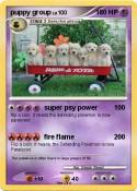 puppy group