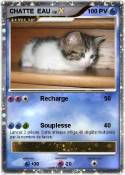 CHATTE EAU