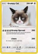 Grumpy Cat