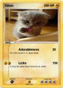 Kitten