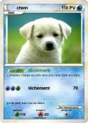 chien