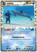 dolphin