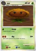 sun