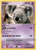 Koala