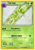 Cell Wall