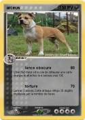 arceus
