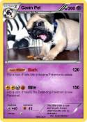 Gavin Pet