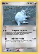 Merlin