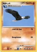 aigle