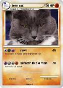 teen cat