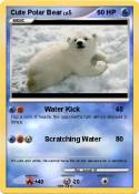 Cute Polar Bear