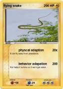flying snake