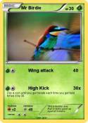 Mr Birdie