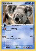 Koala Dude