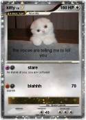 kitty