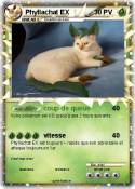 Phyllachat EX