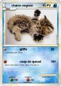 chaton mignon