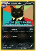 sir meows a lot