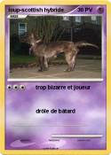 loup-scottish