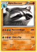 Alpha Raccoon