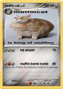 muffin cat