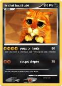 le chat bauté