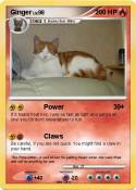 Ginger