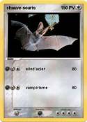 chauve-souris