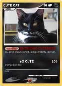 CUTE CAT