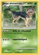 berger allemand