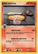 gordo bachicha