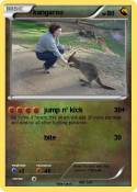 kangaroo