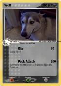 Wolf
