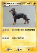 beauceron en