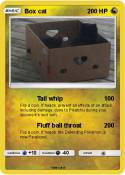 Box cat