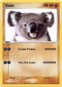  Koala 