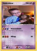 Hudsonbear