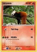 red panda