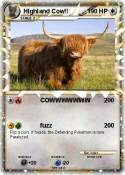 HIghland Cow!!
