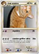 chat mistère