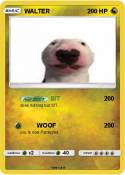 WALTER