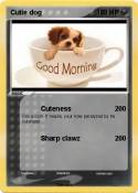 Cutie dog